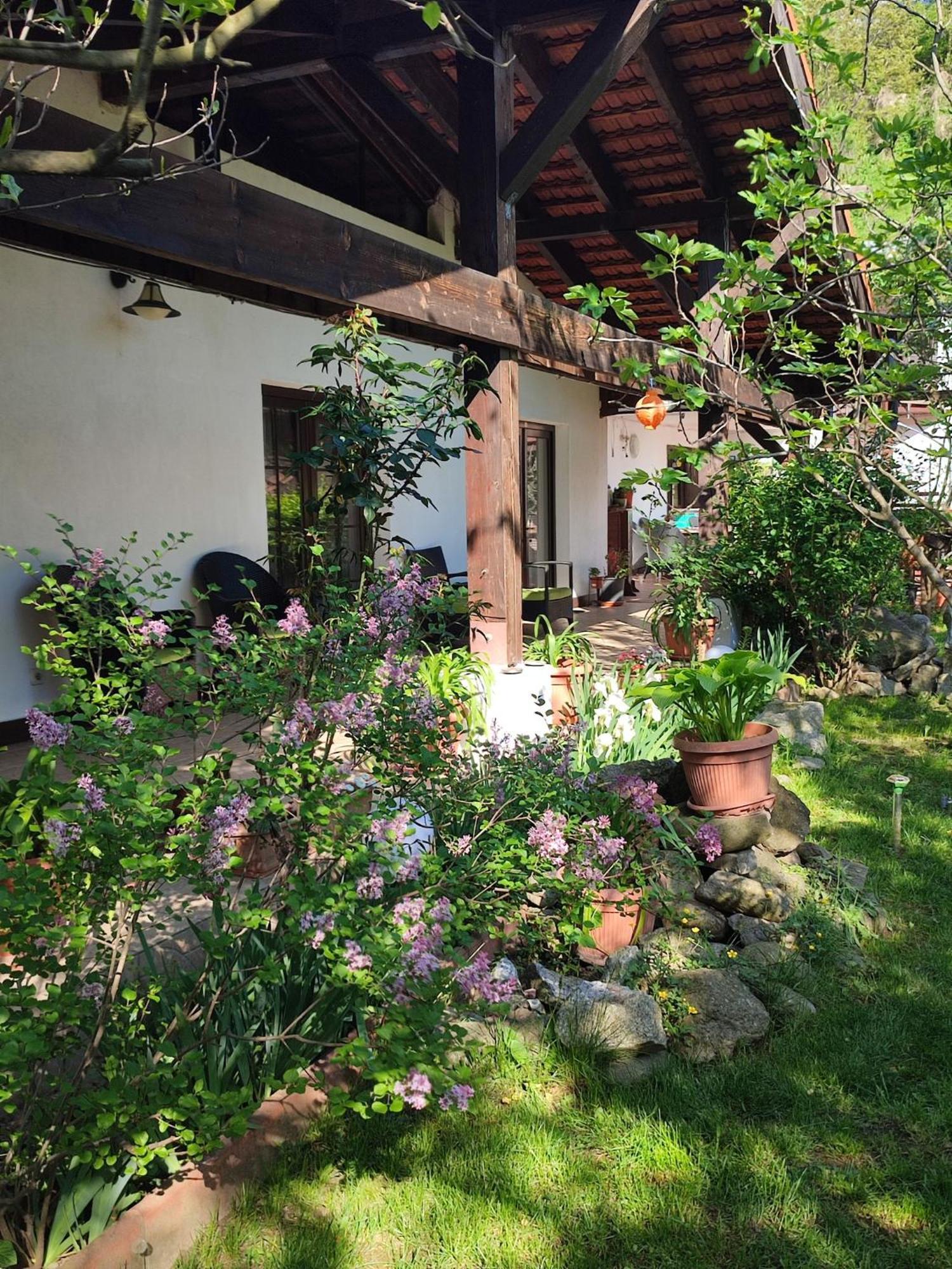Pensiunea La Dolce Vita Băile Herculane Esterno foto