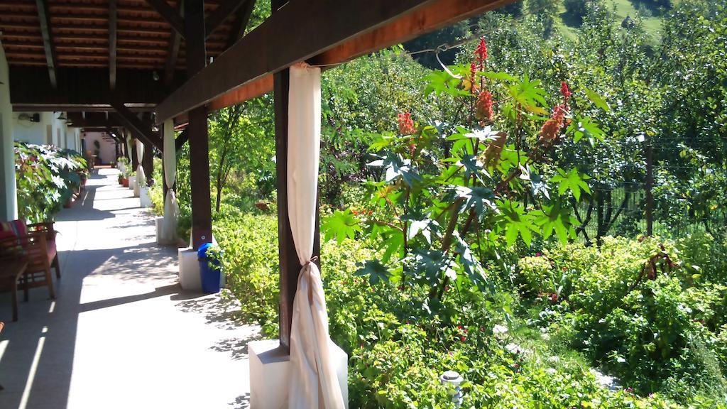 Pensiunea La Dolce Vita Băile Herculane Esterno foto