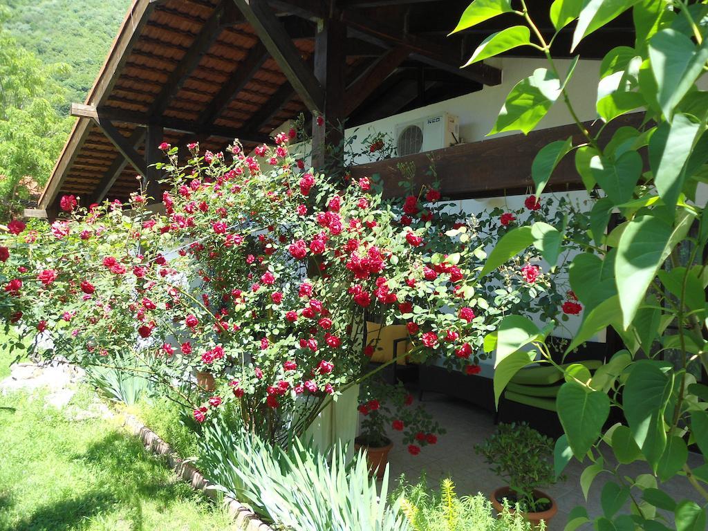 Pensiunea La Dolce Vita Băile Herculane Esterno foto